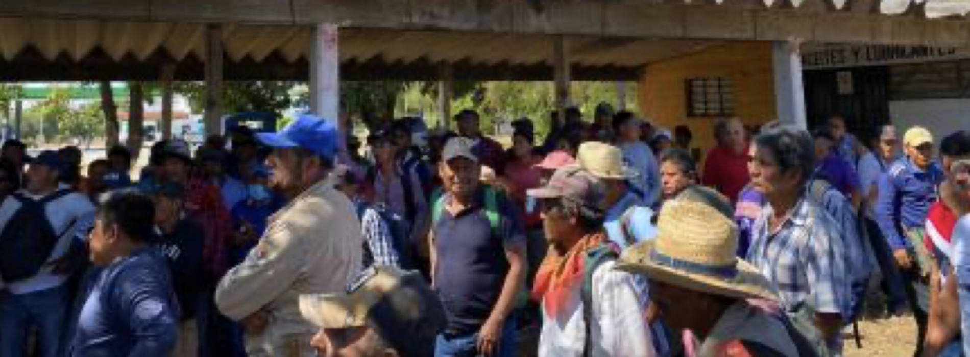 “Los Chimalapas no están en venta”. Zoques buscan recuperar 13 mil ha de selva en Oaxaca